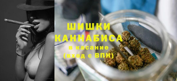 ПСИЛОЦИБИНОВЫЕ ГРИБЫ Балахна