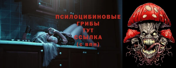 мяу мяу мука Баксан