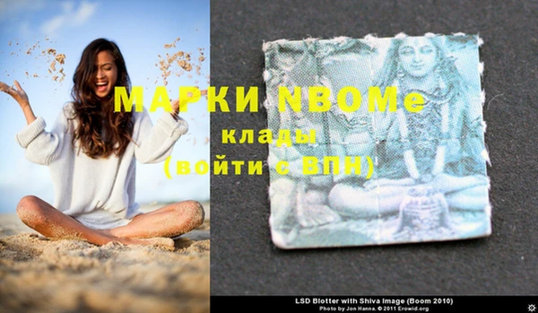 мяу мяу мука Баксан
