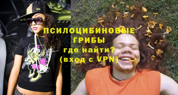 мяу мяу мука Баксан